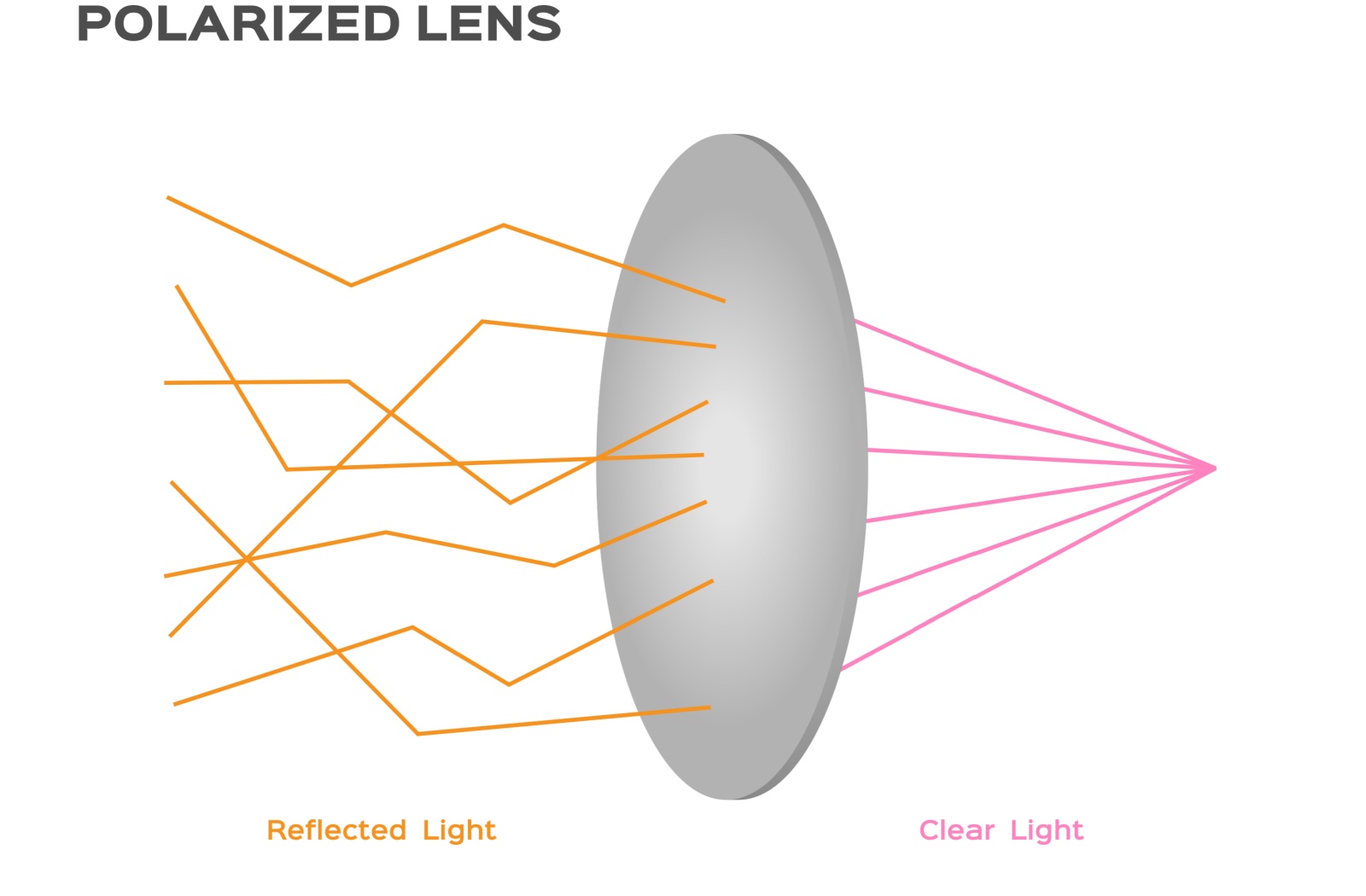 Diagram showing how a polarized lens blocks reflected horizontal light while allowing vertical light to pass through for clearer vision.
